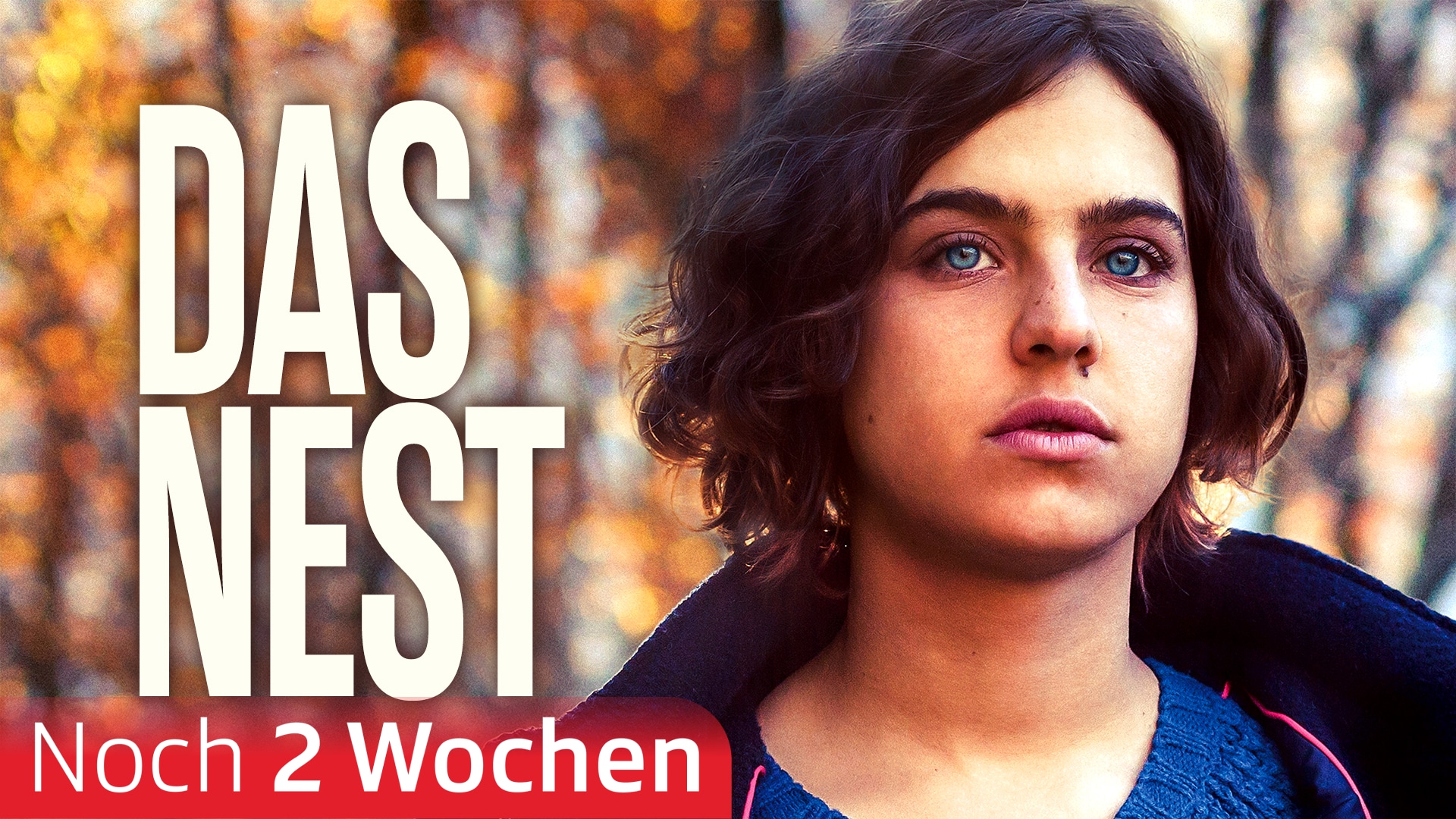 Das Nest