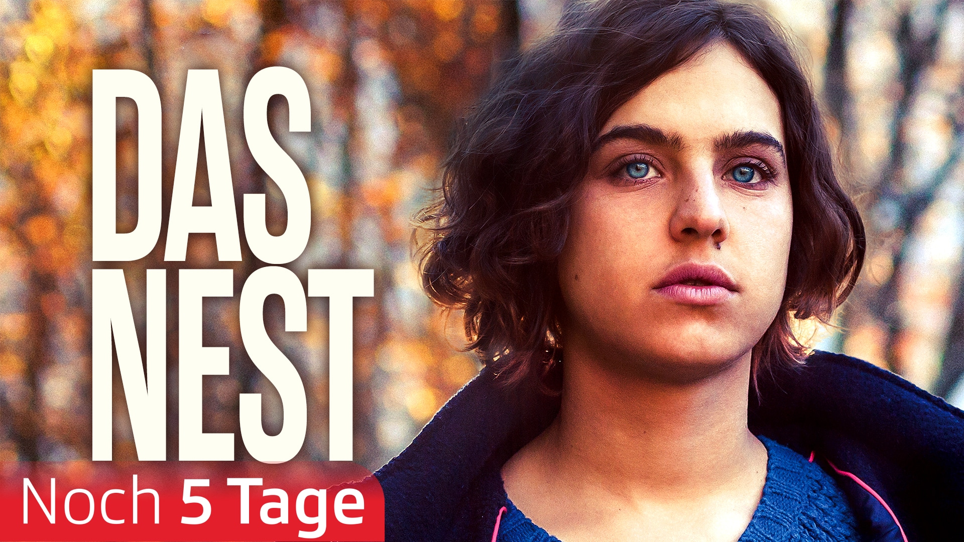 Das Nest