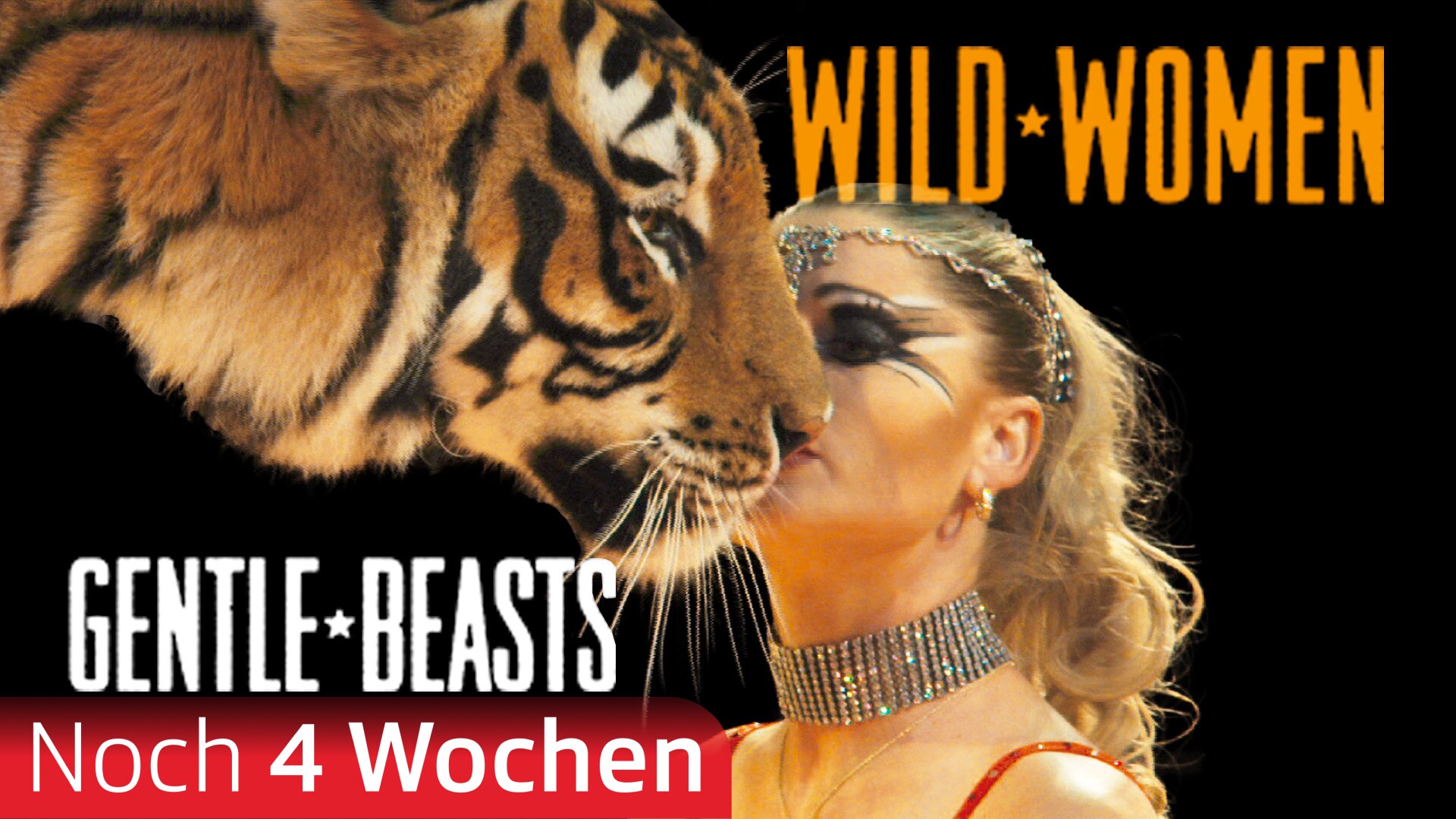 Wild Women - Gentle Beasts
