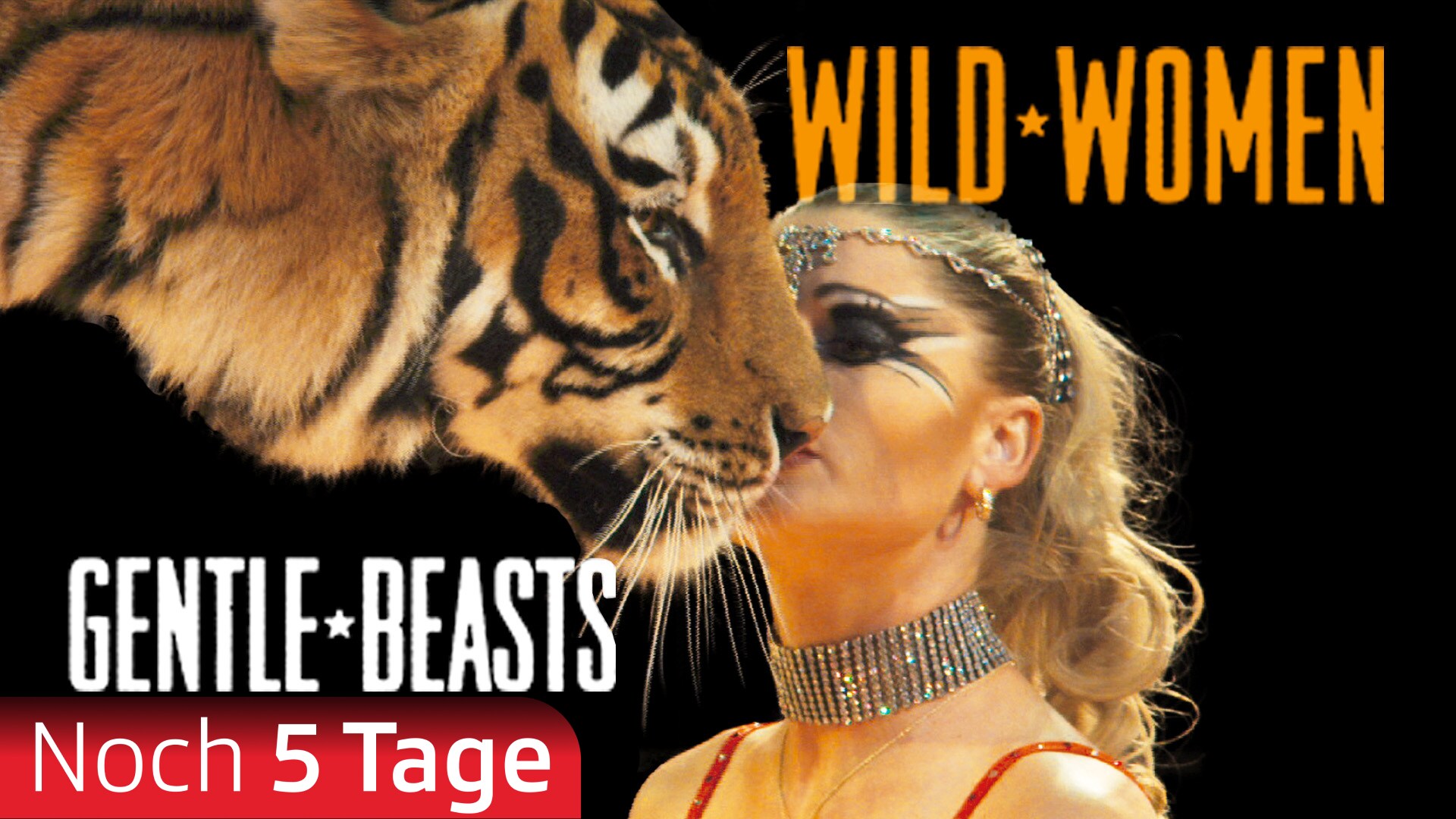 Wild Women - Gentle Beasts