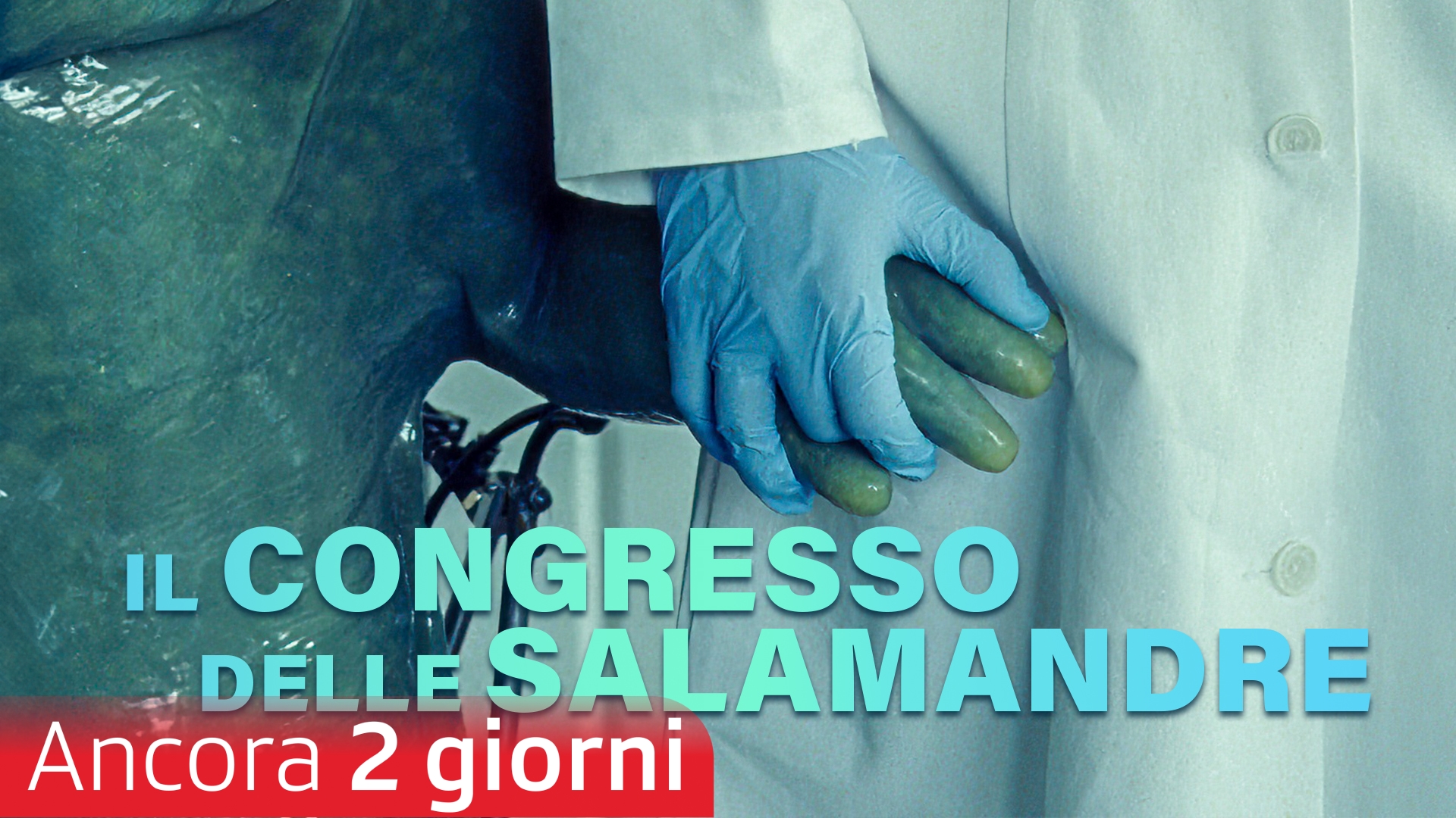 Il congresso delle salamandre