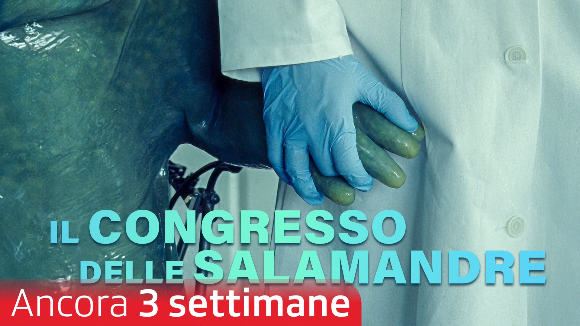 Il congresso delle salamandre