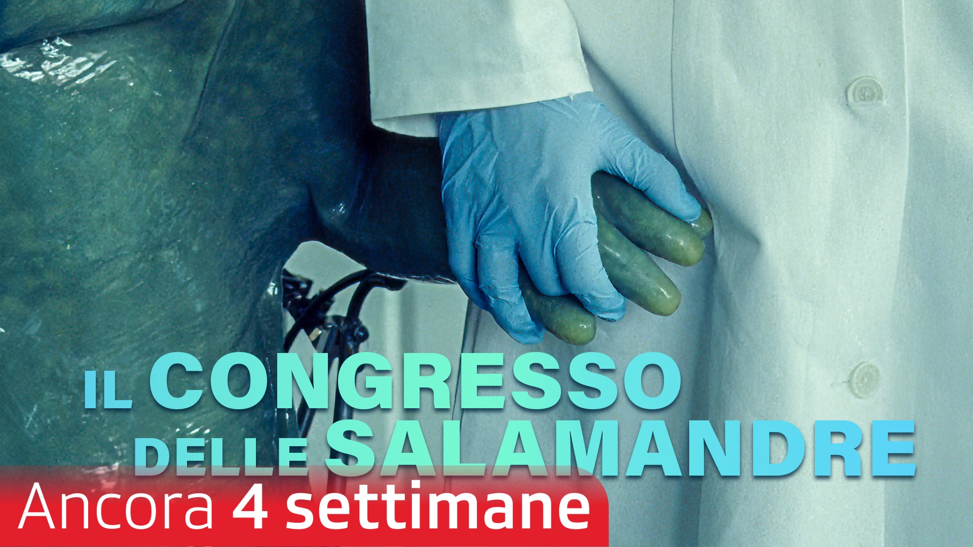 Il congresso delle salamandre
