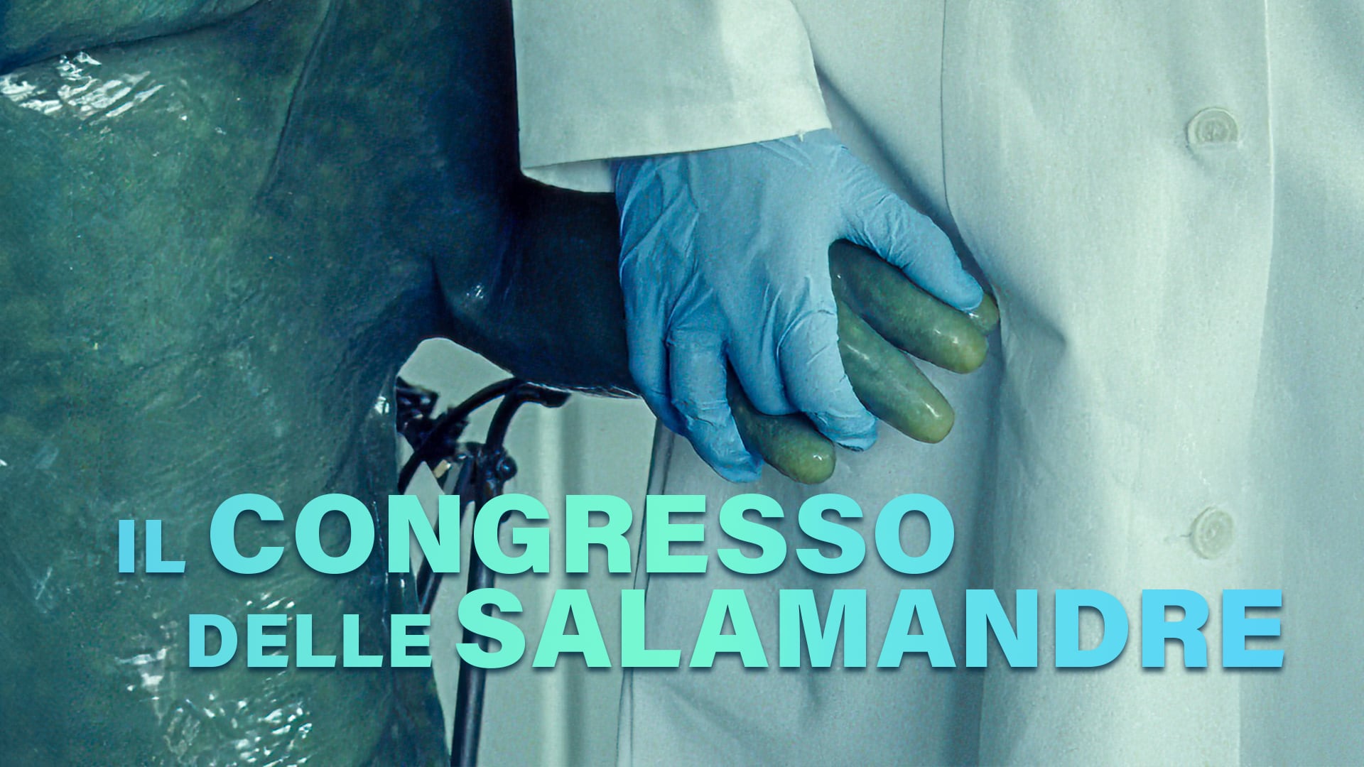 Il congresso delle salamandre