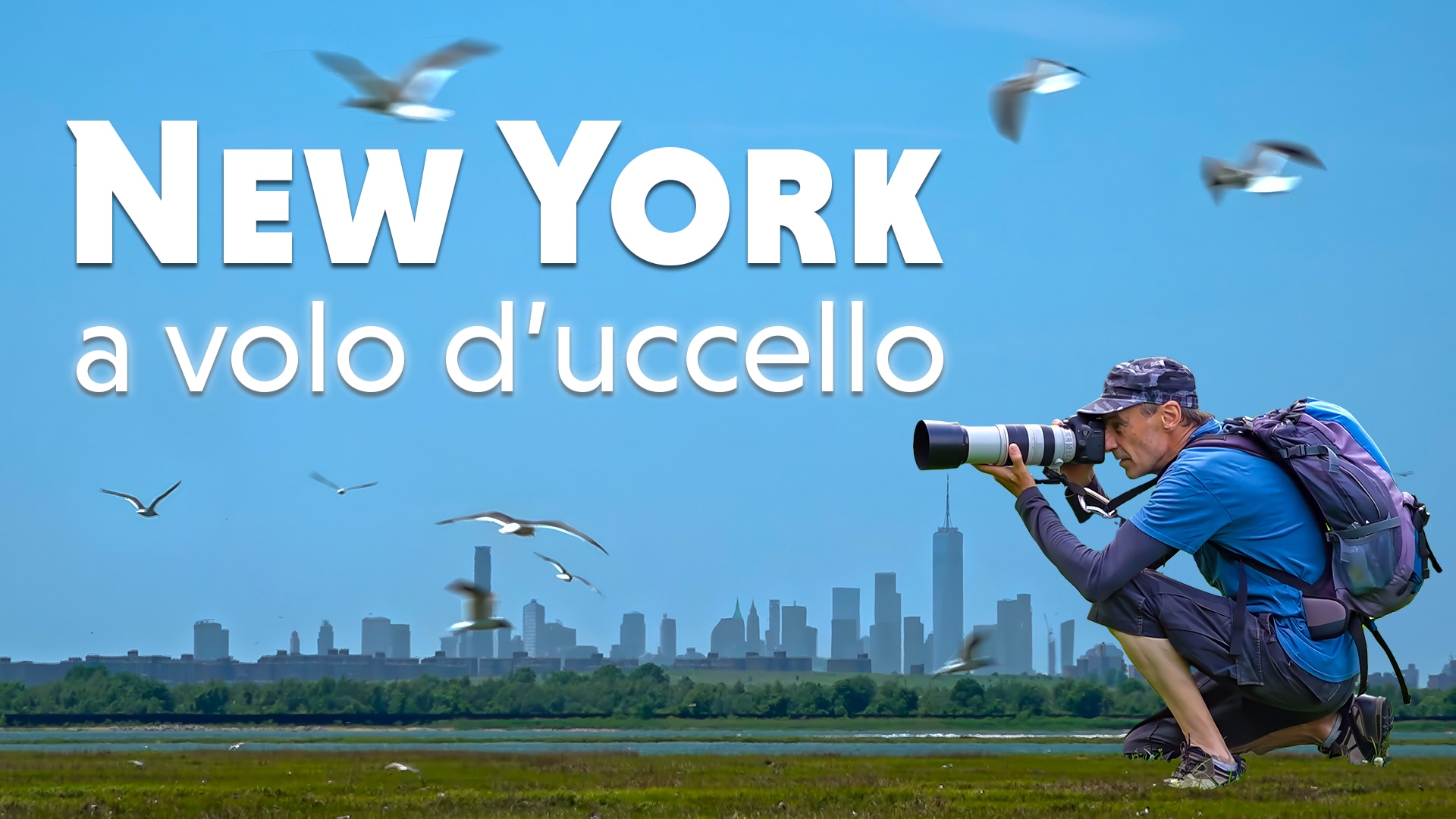 New York a volo d'uccello