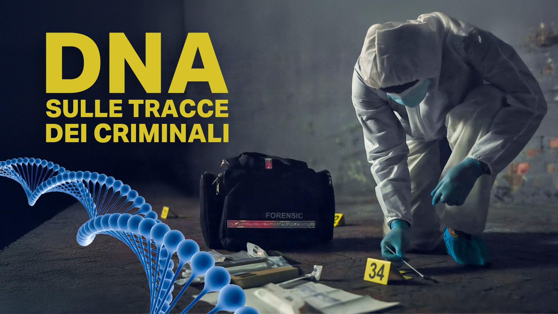 DNA: sulle tracce dei criminali