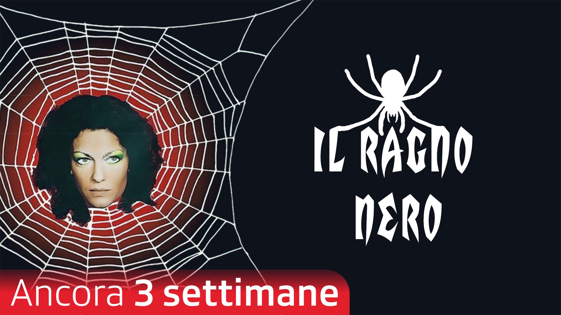 Il ragno nero