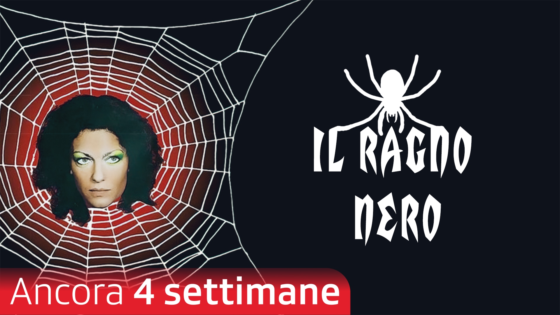 Il ragno nero