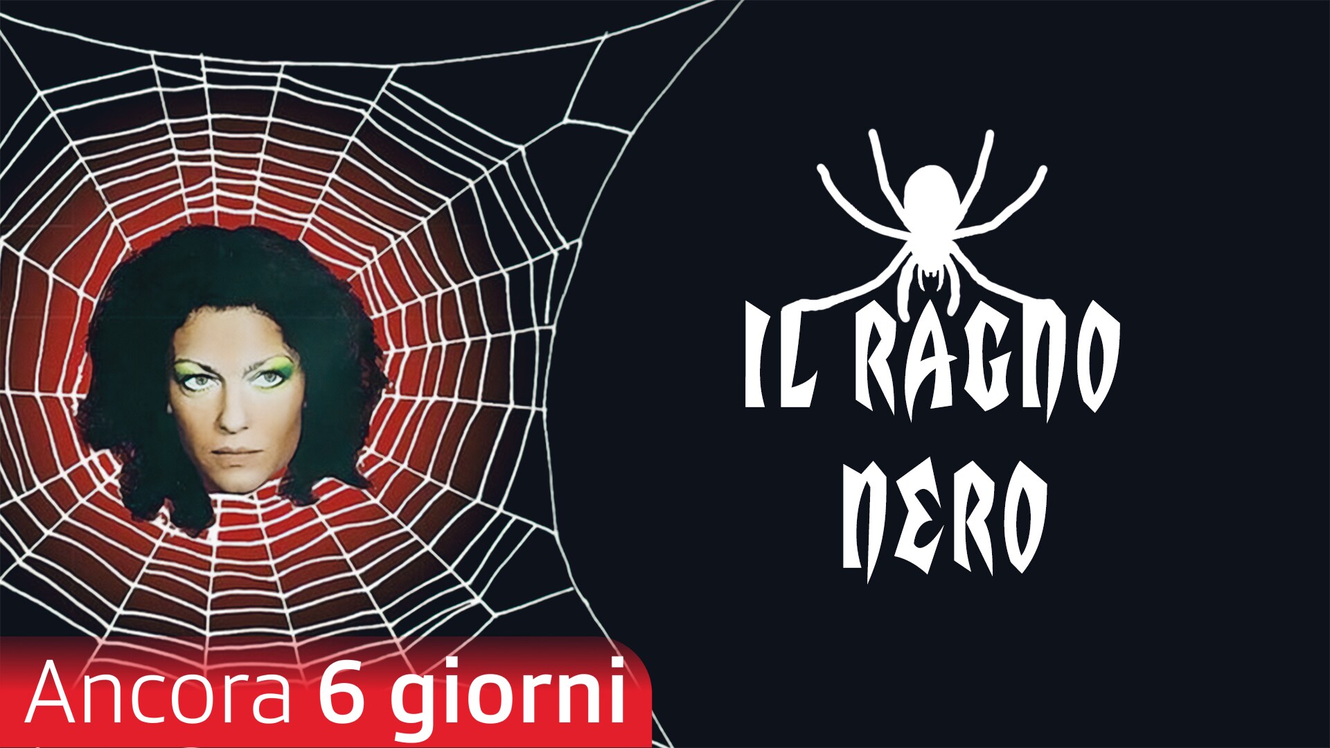 Il ragno nero