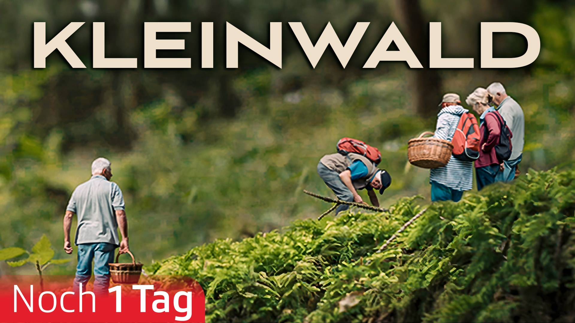 Kleinwald