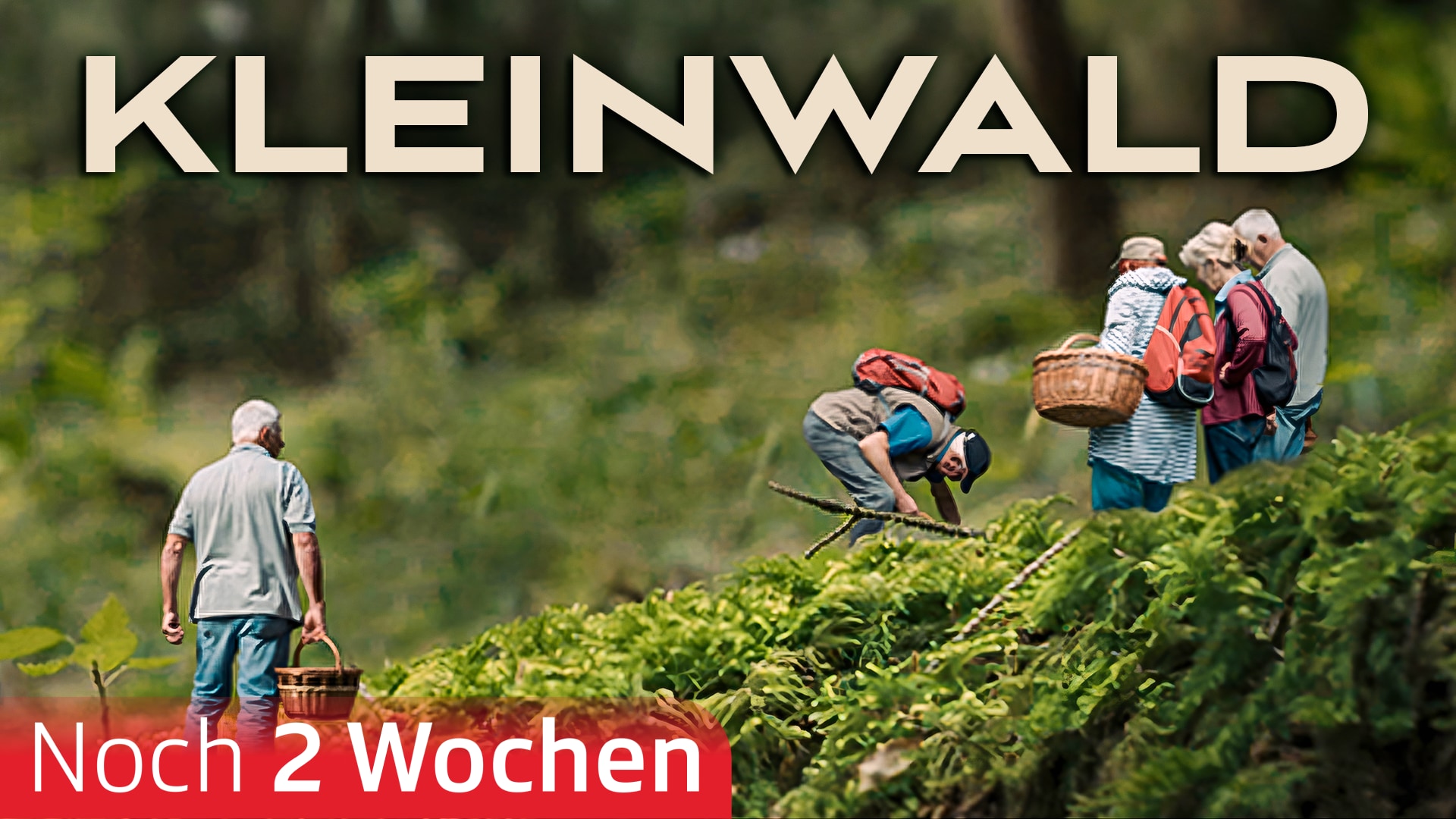 Kleinwald