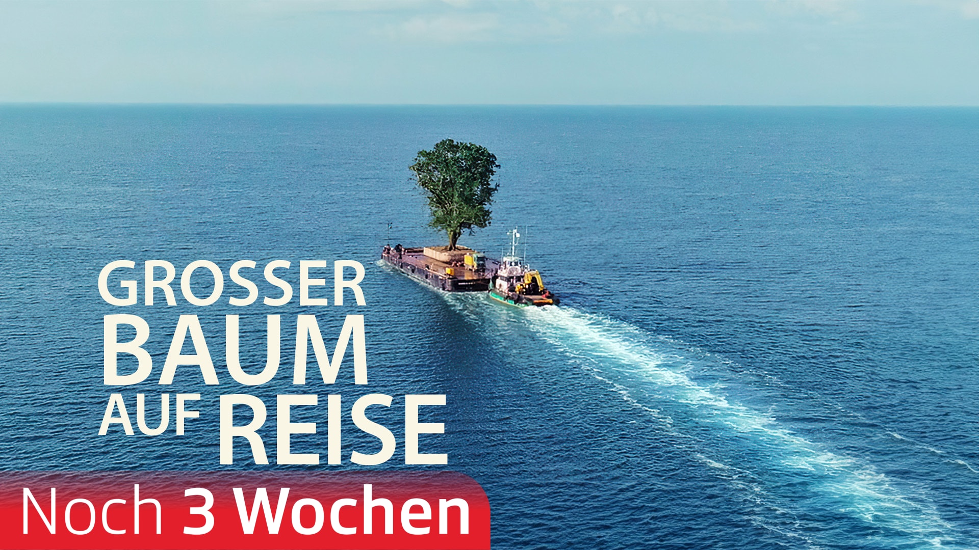 Grosser Baum auf Reise