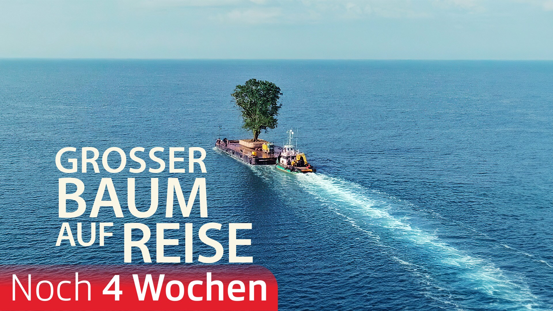 Grosser Baum auf Reise