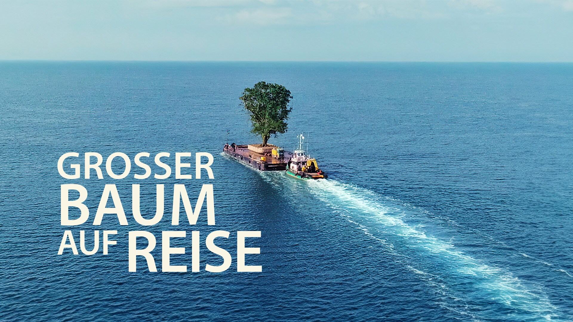 Grosser Baum auf Reise