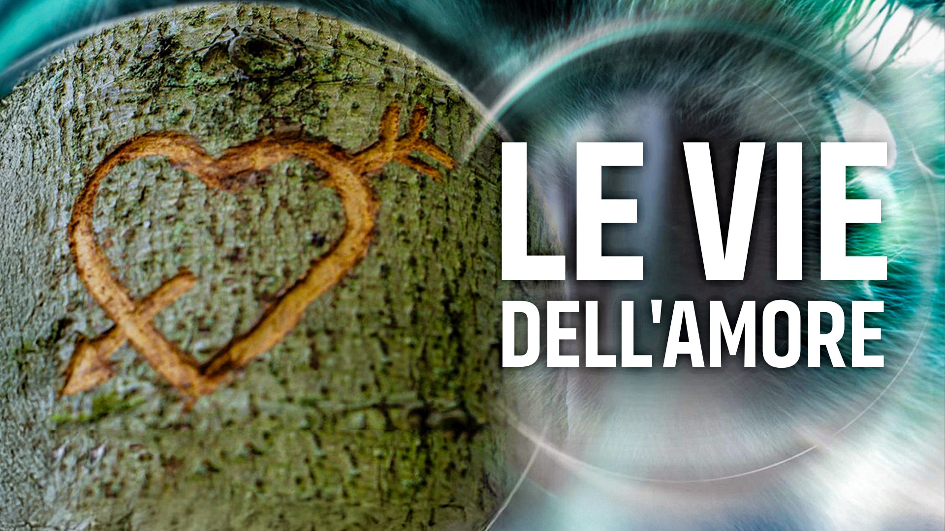 Le vie dell'amore 