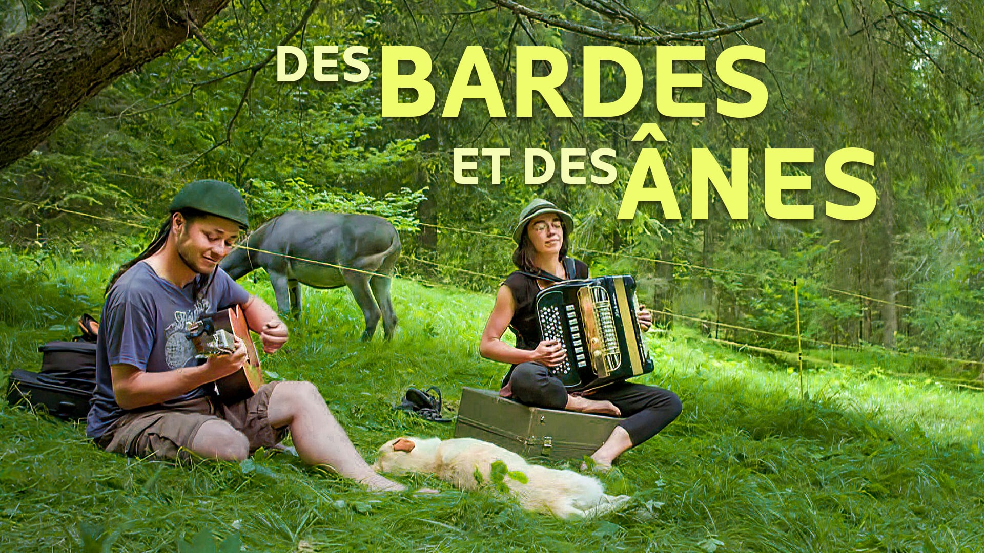 Des bardes et des ânes