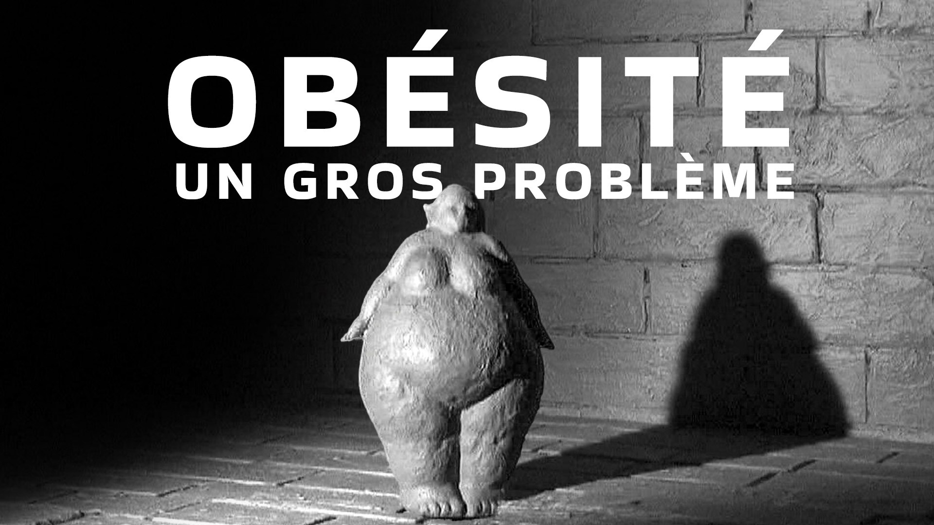 Obésité : un gros problème