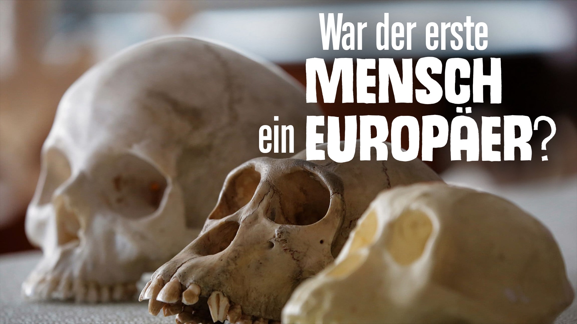 War der erste Mensch ein Europäer?