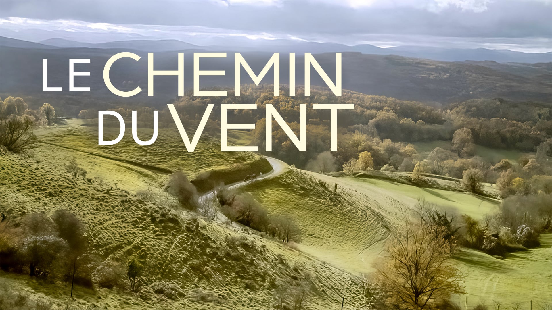 Le chemin du vent