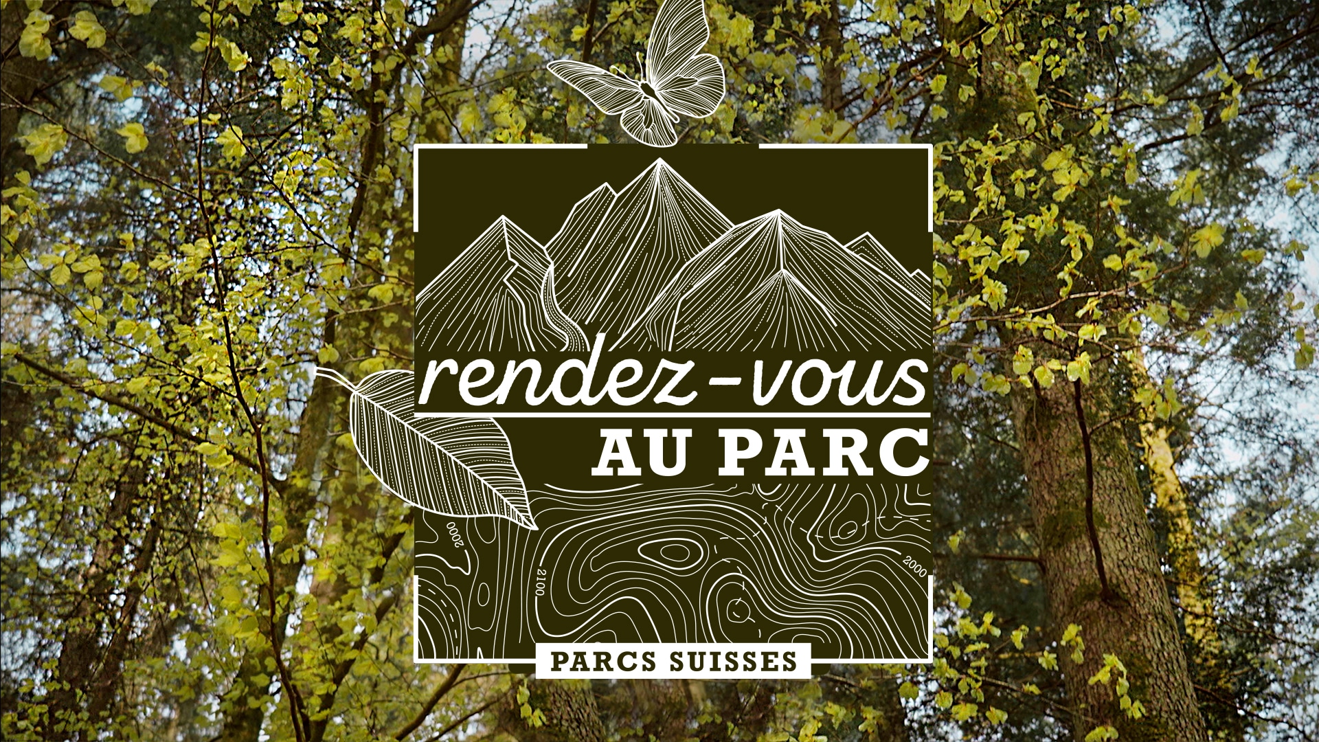 Rendez-vous au parc