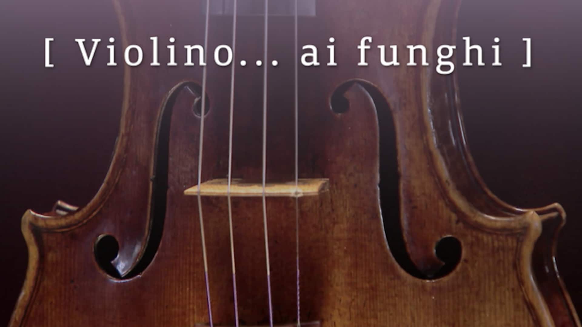 Violino... ai funghi