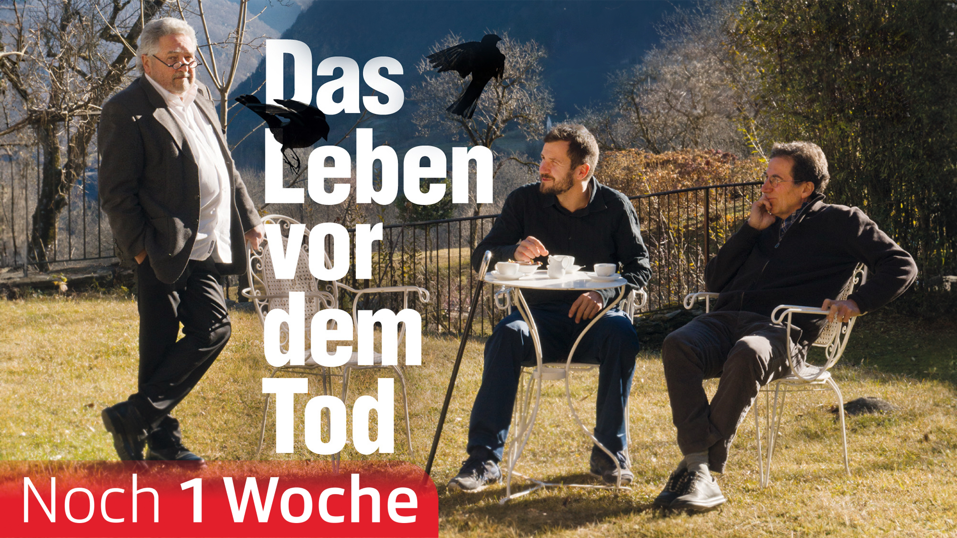 Das Leben vor dem Tod