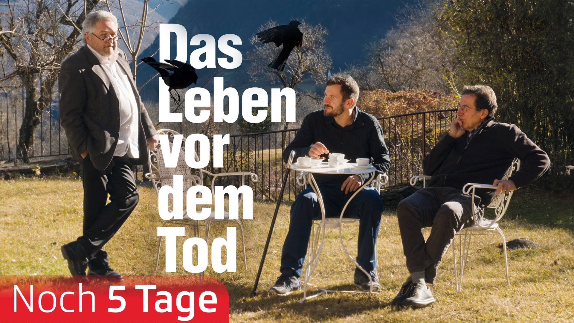 Das Leben vor dem Tod