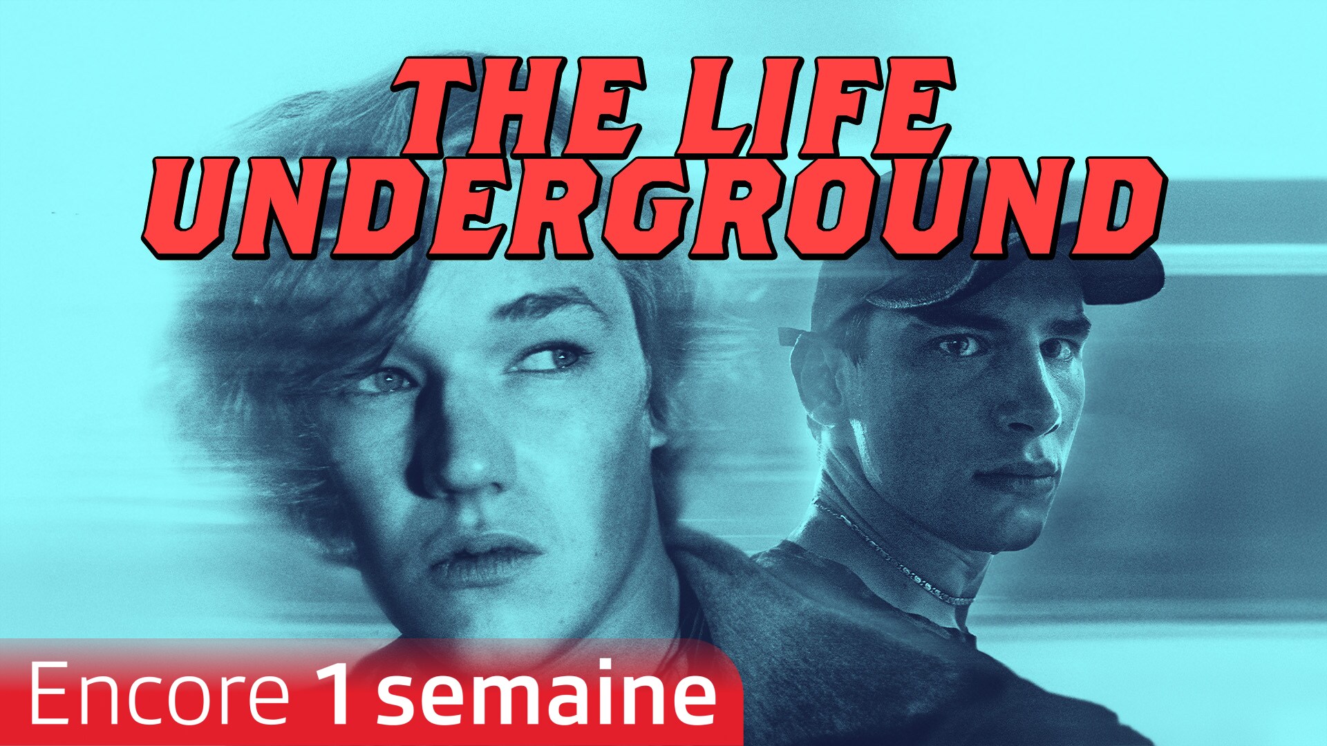 The Life Underground