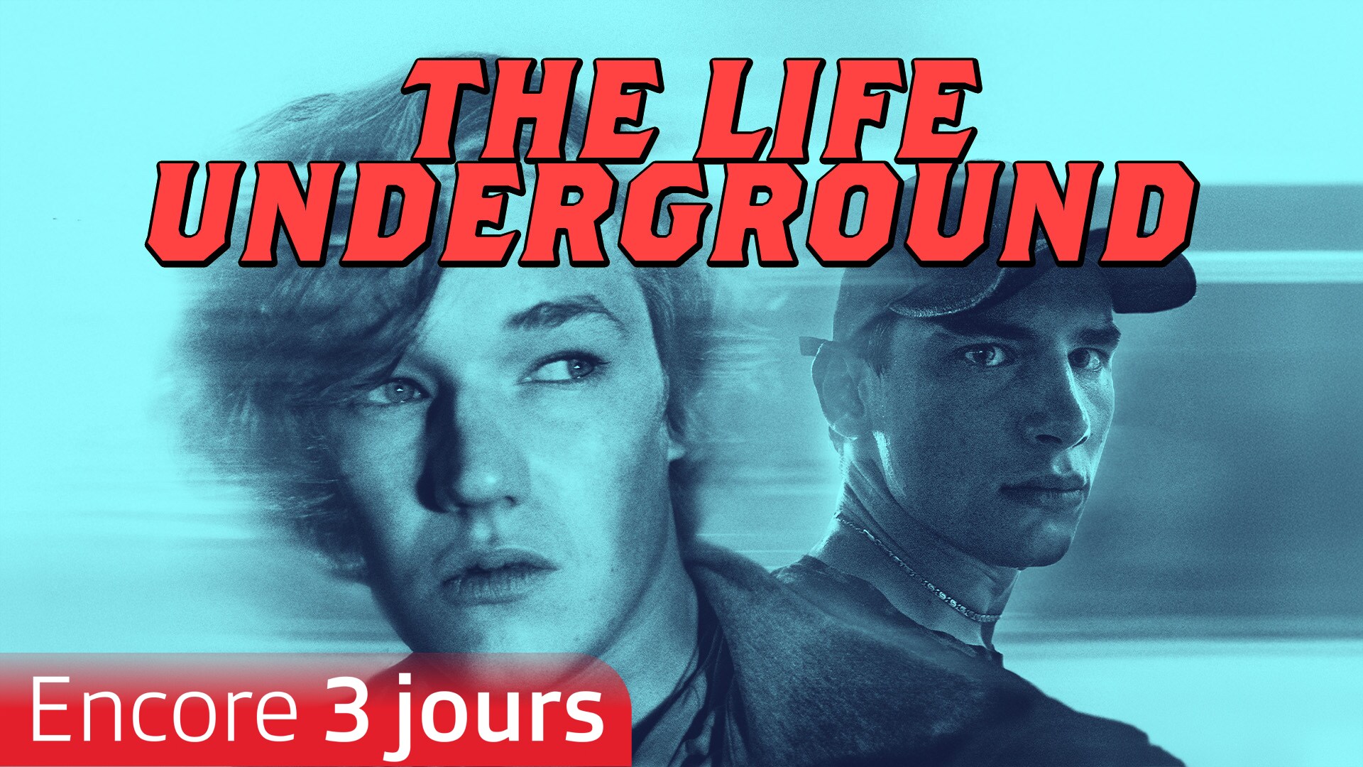 The Life Underground