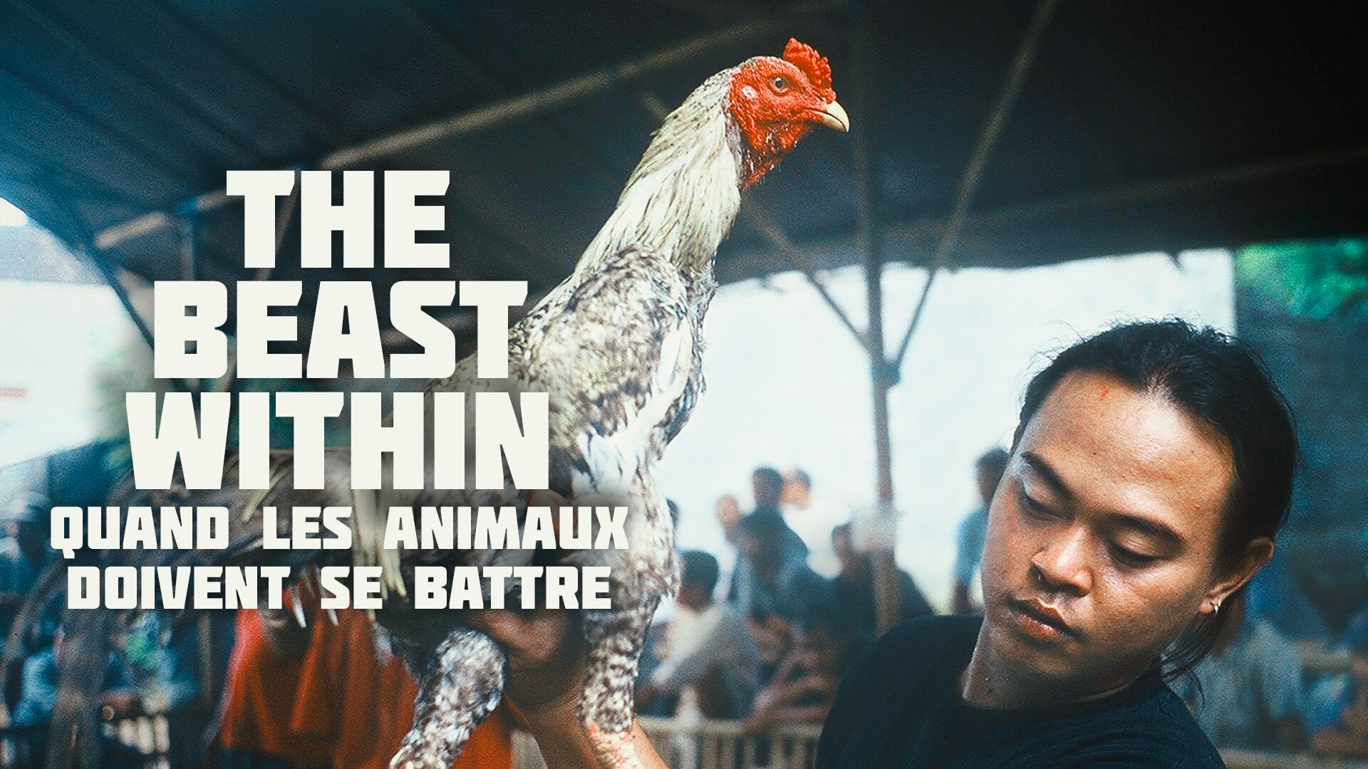 The Beast Within : quand les animaux doivent se battre