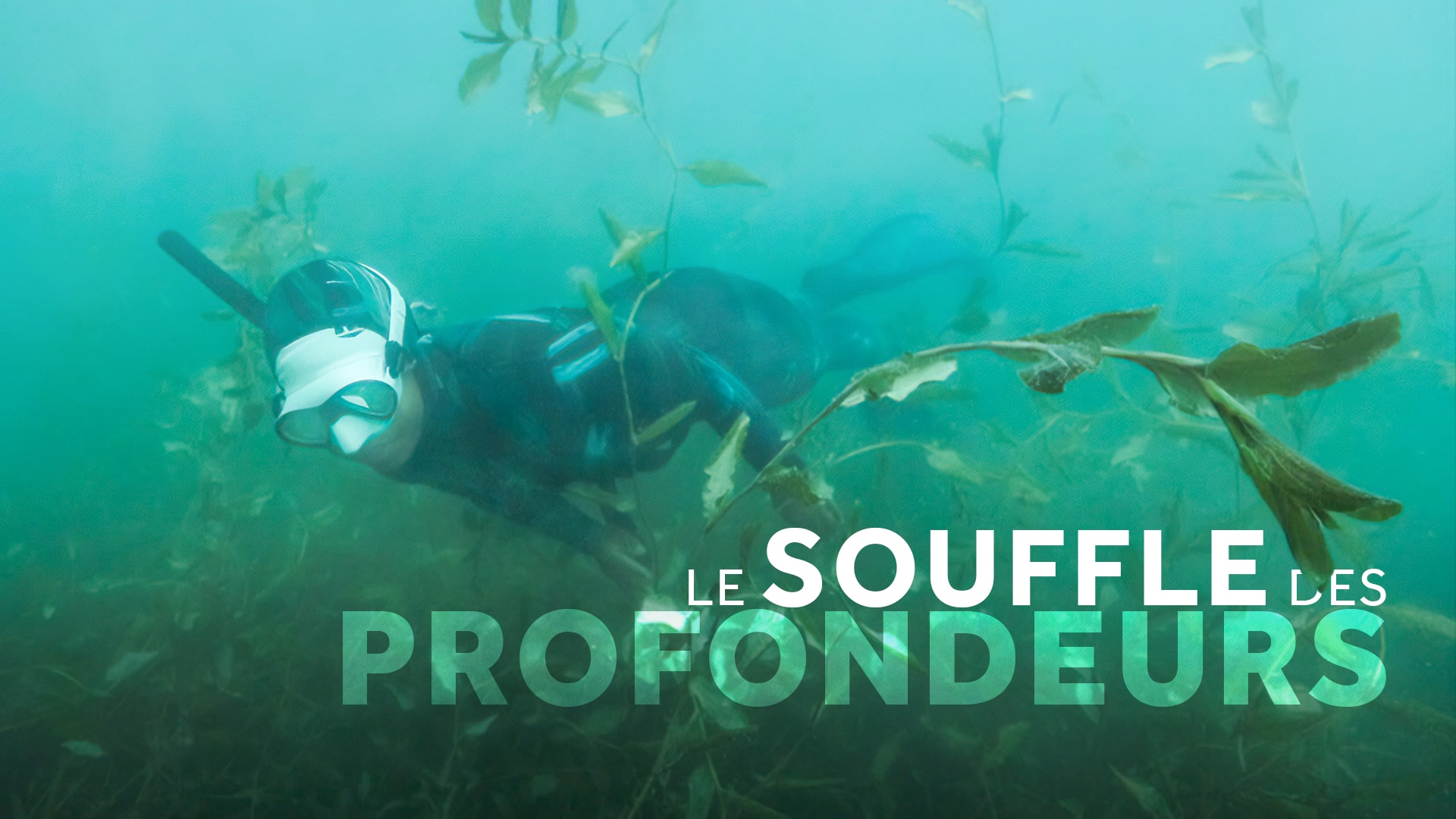 Le souffle des profondeurs