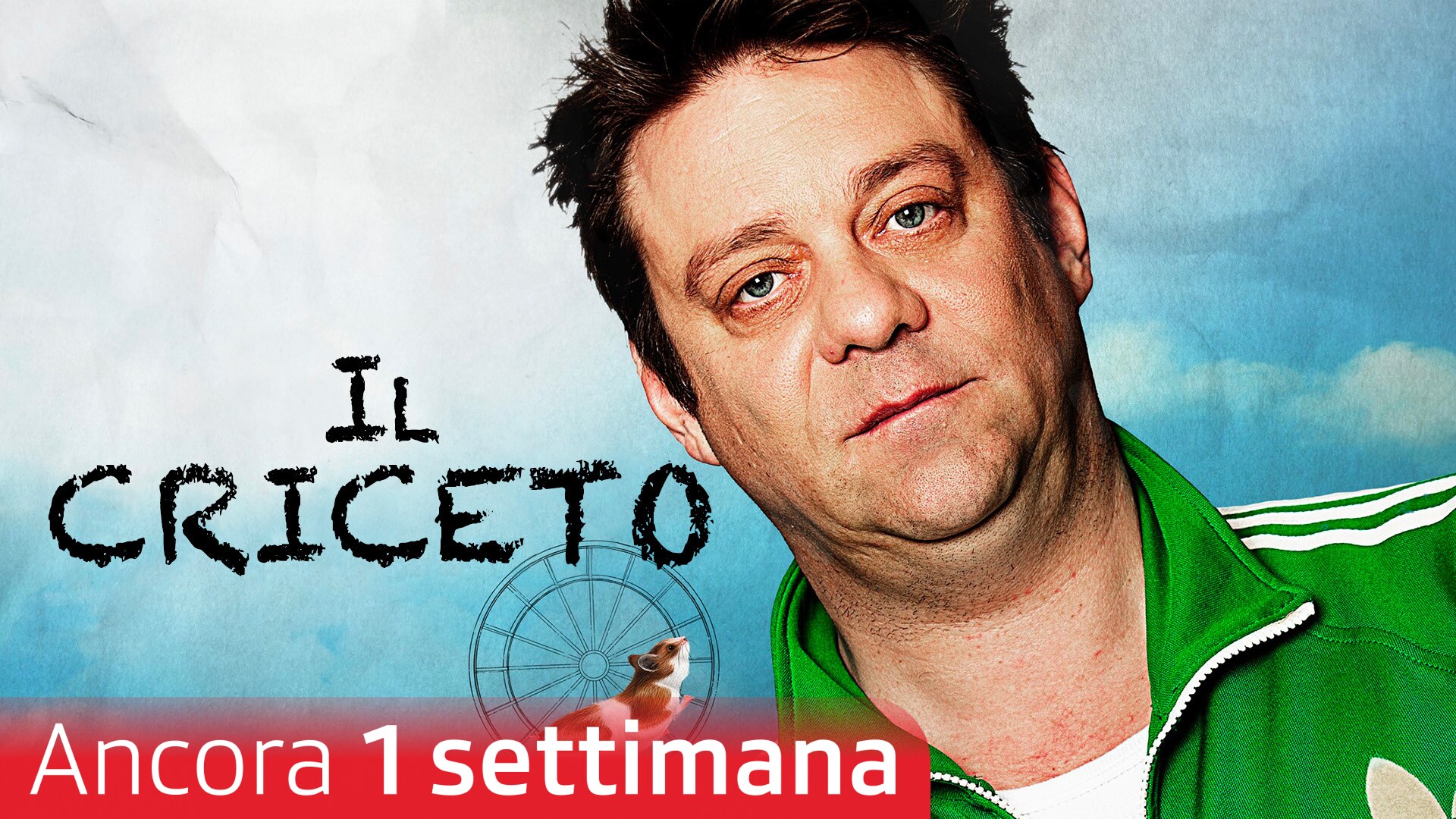 Il criceto