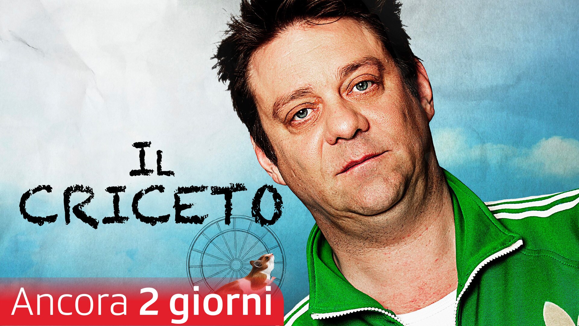 Il criceto