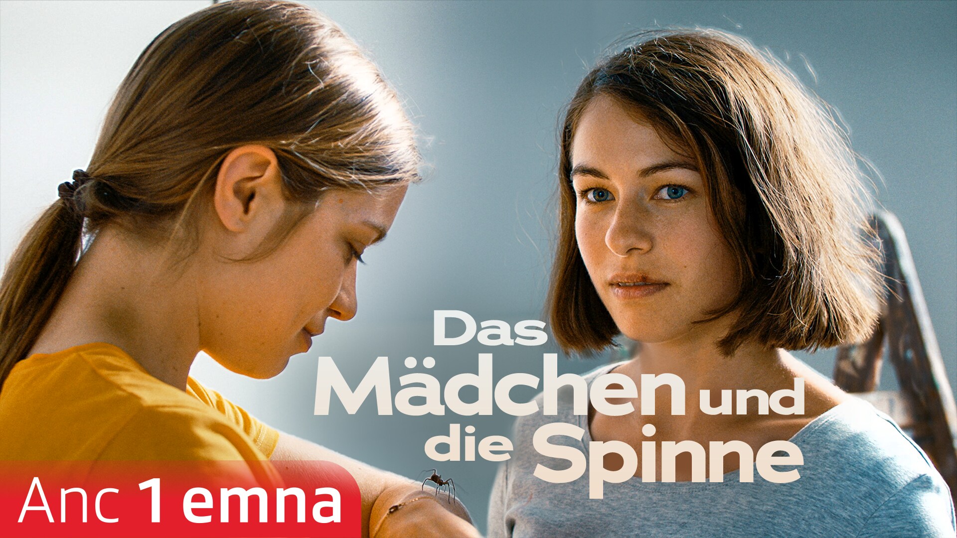 Das Mädchen und die Spinne