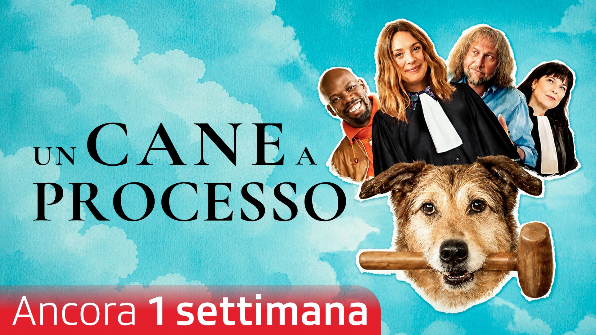 Un cane a processo