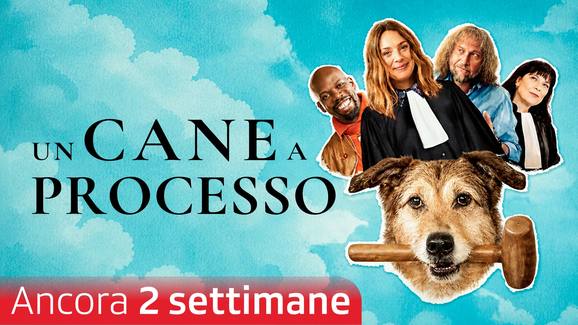 Un cane a processo