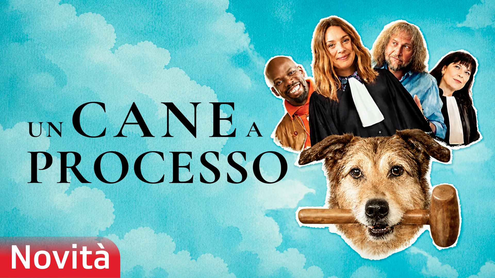 Un cane a processo