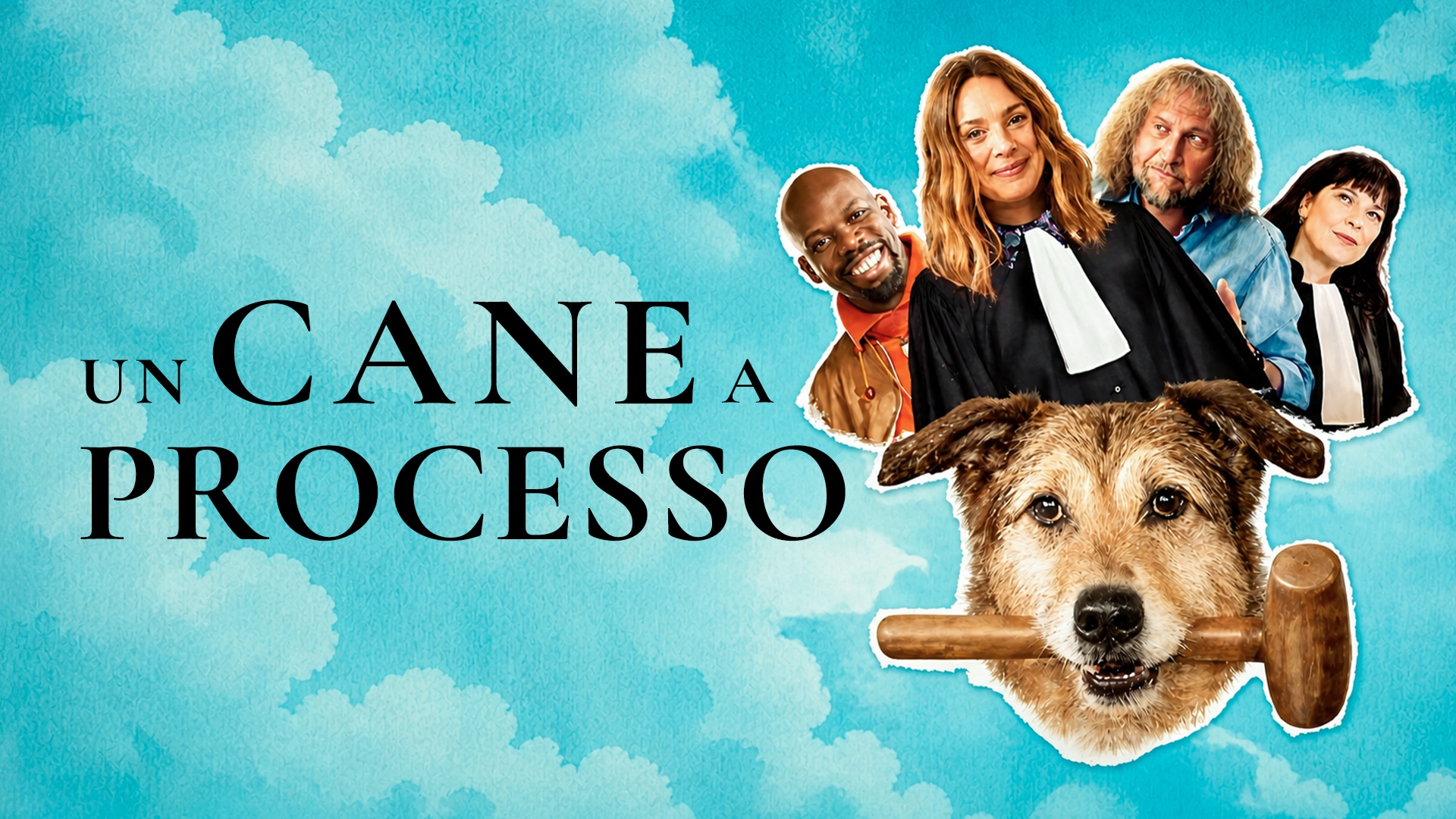 Un cane a processo