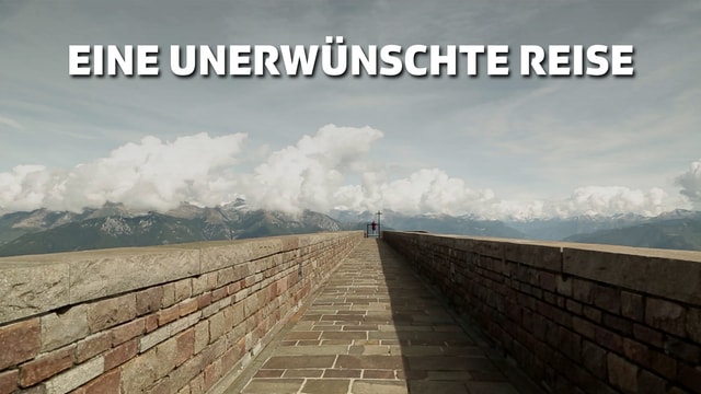 Eine unerwünschte Reise