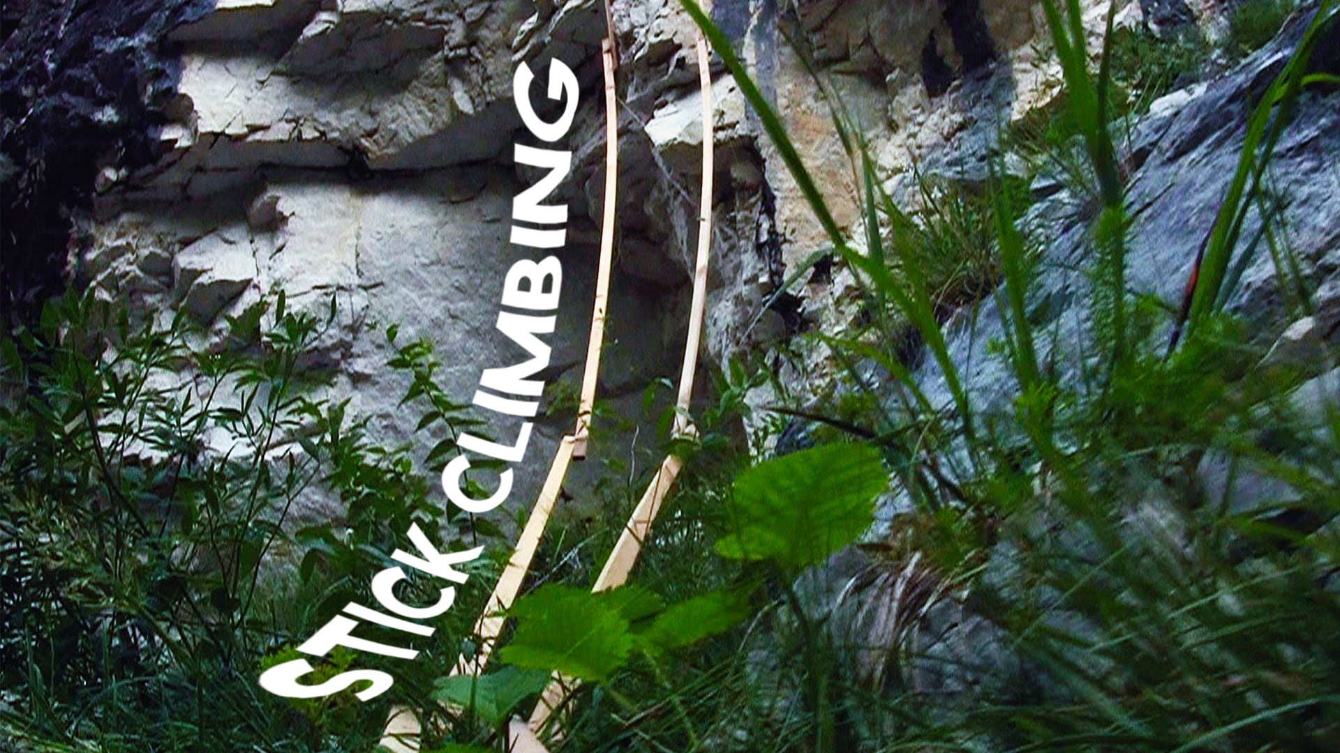 Stick Climbing