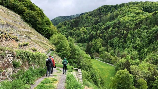 Chablais, Vaud/Vallese