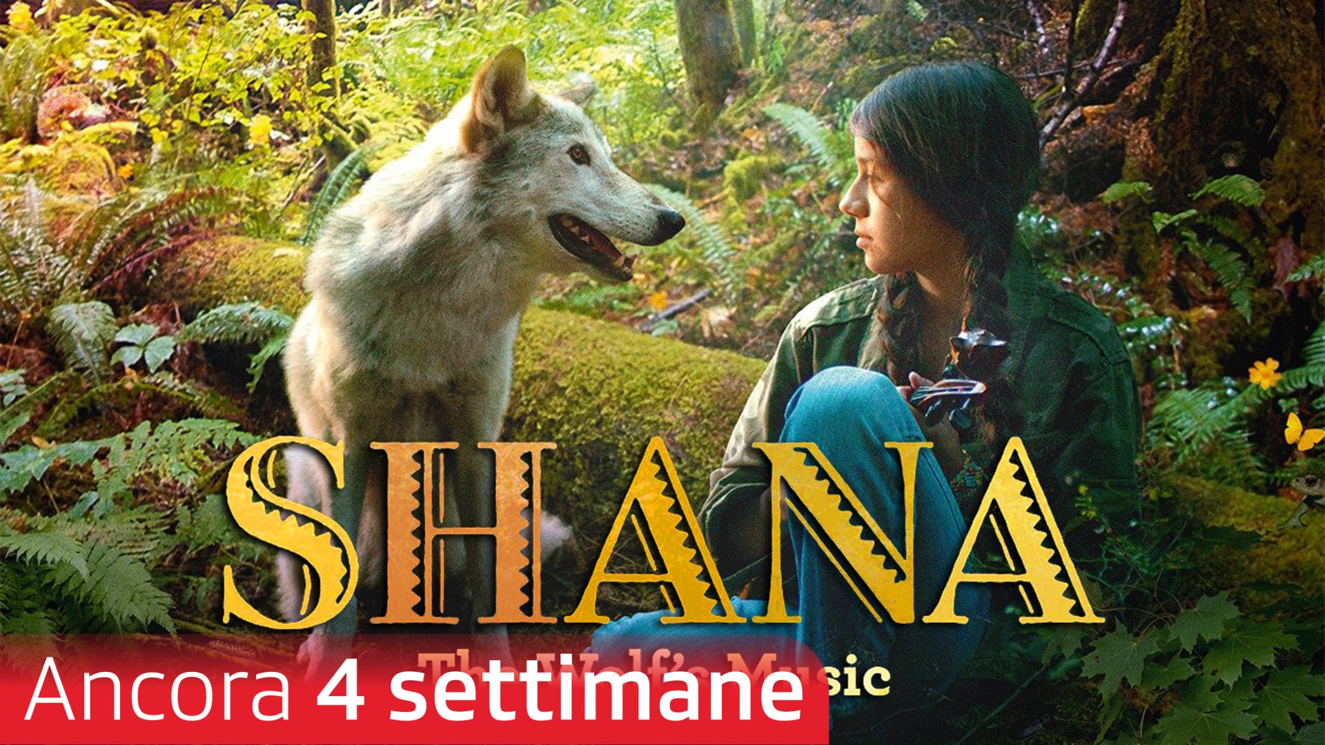Shana - The Wolf's Music