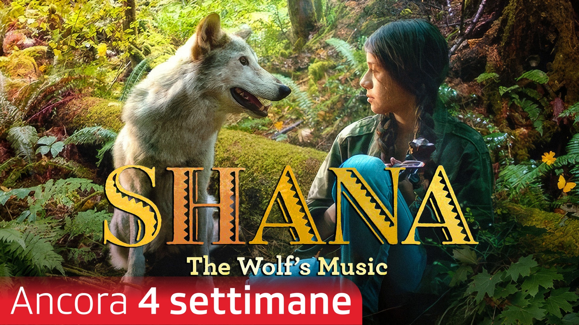 Shana - The Wolf's Music