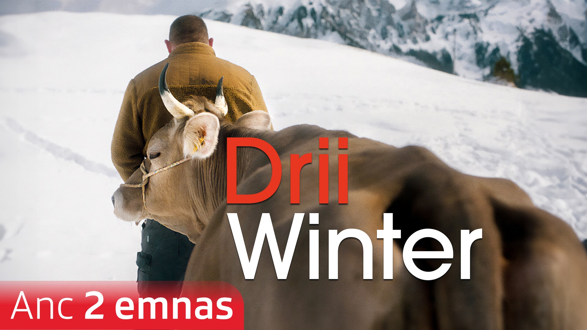 Drii Winter