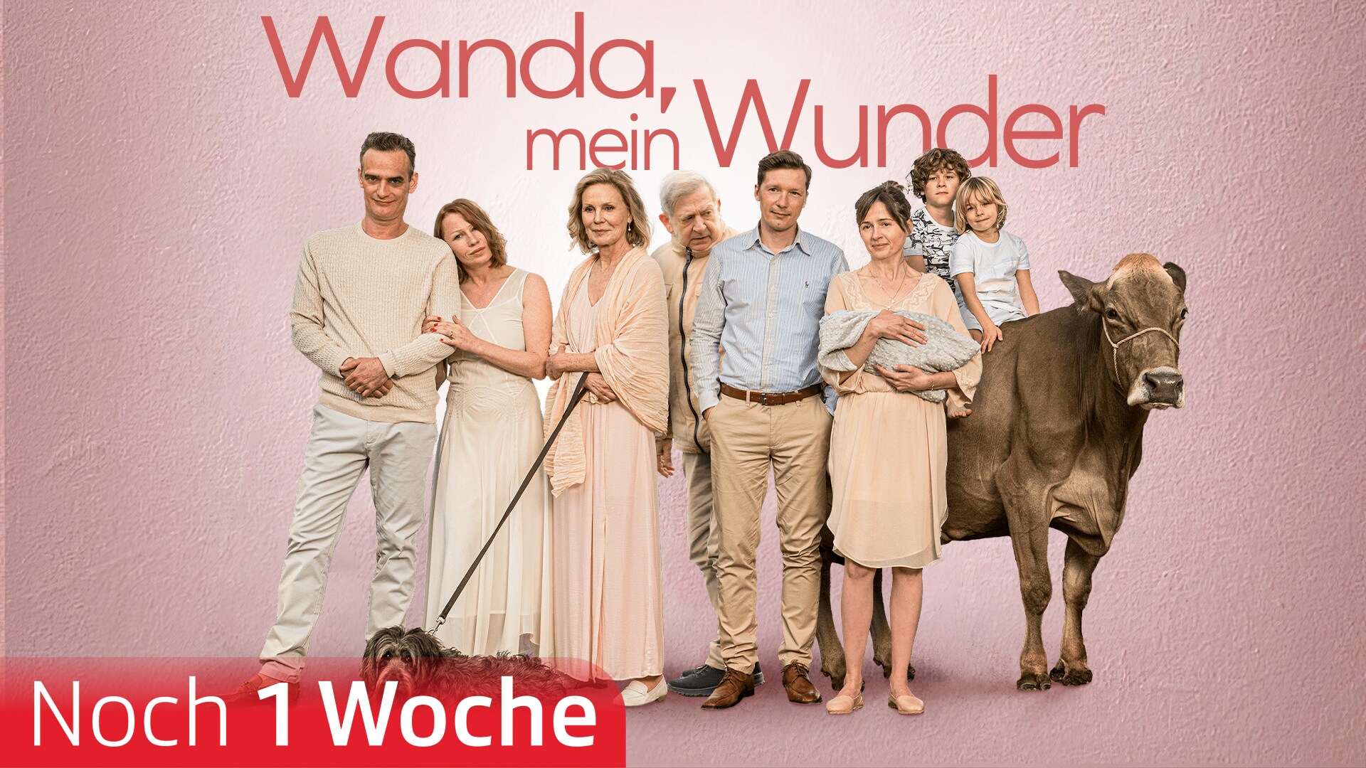 Wanda, mein Wunder