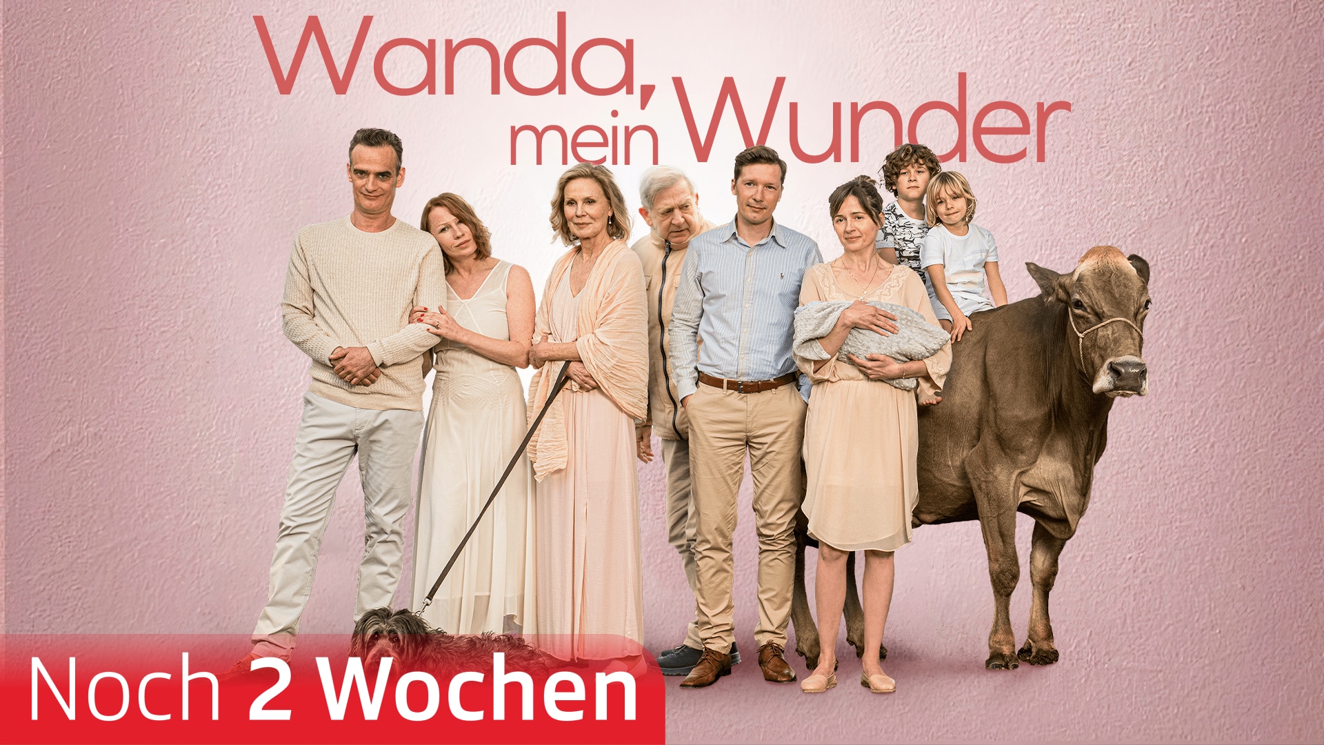 Wanda, mein Wunder