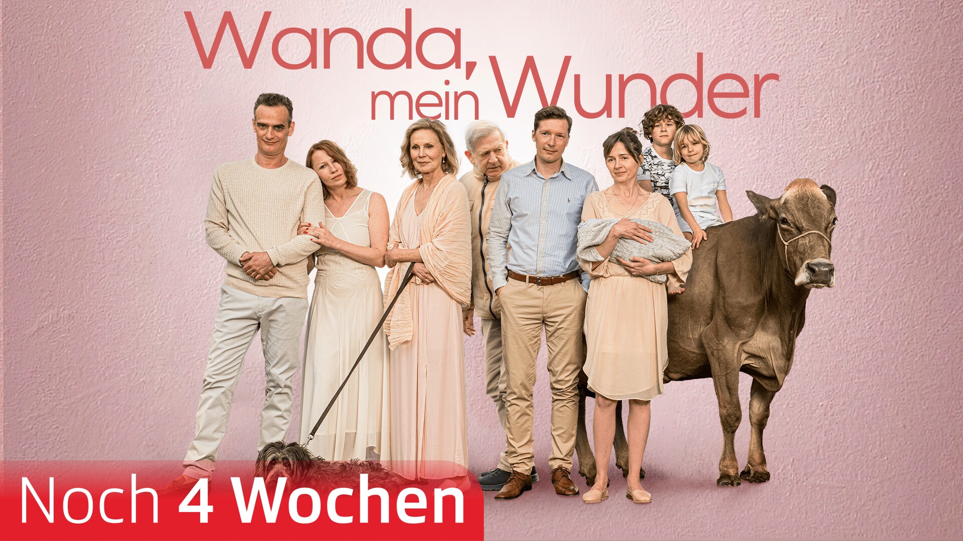 Wanda, mein Wunder