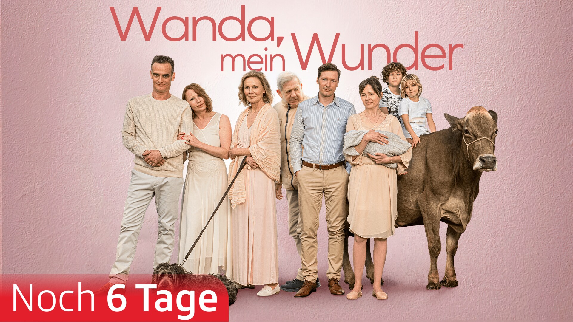 Wanda, mein Wunder