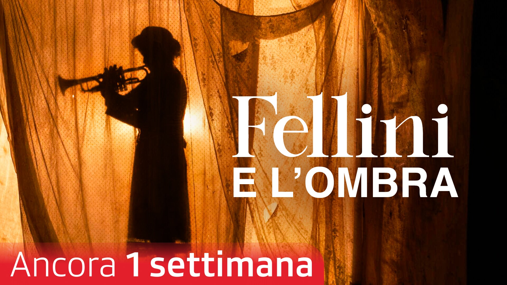 Fellini e l'ombra