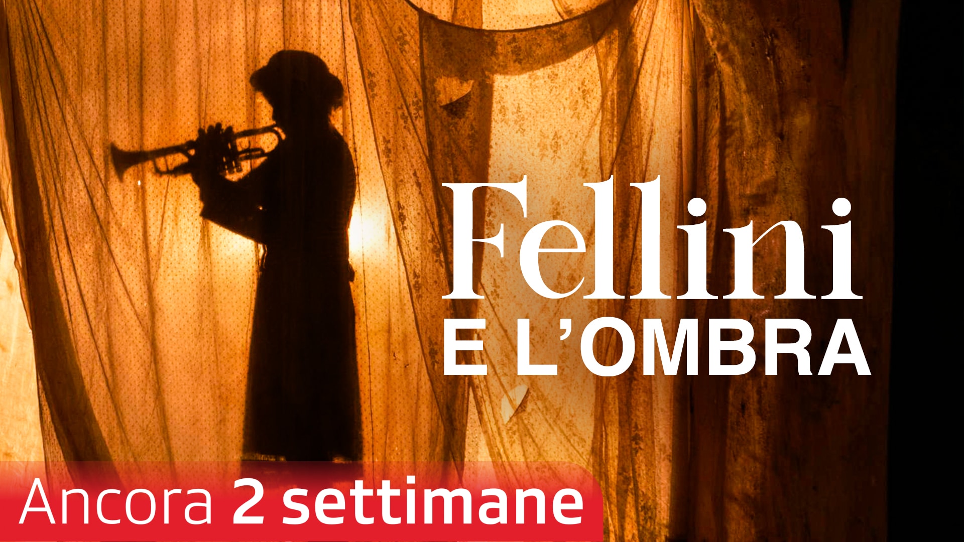 Fellini e l'ombra